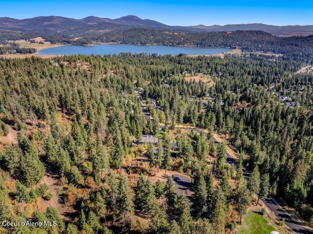 11413 North Summit Loop Post Falls, ID 83854 - Photo 65 of 67 Aerial Community