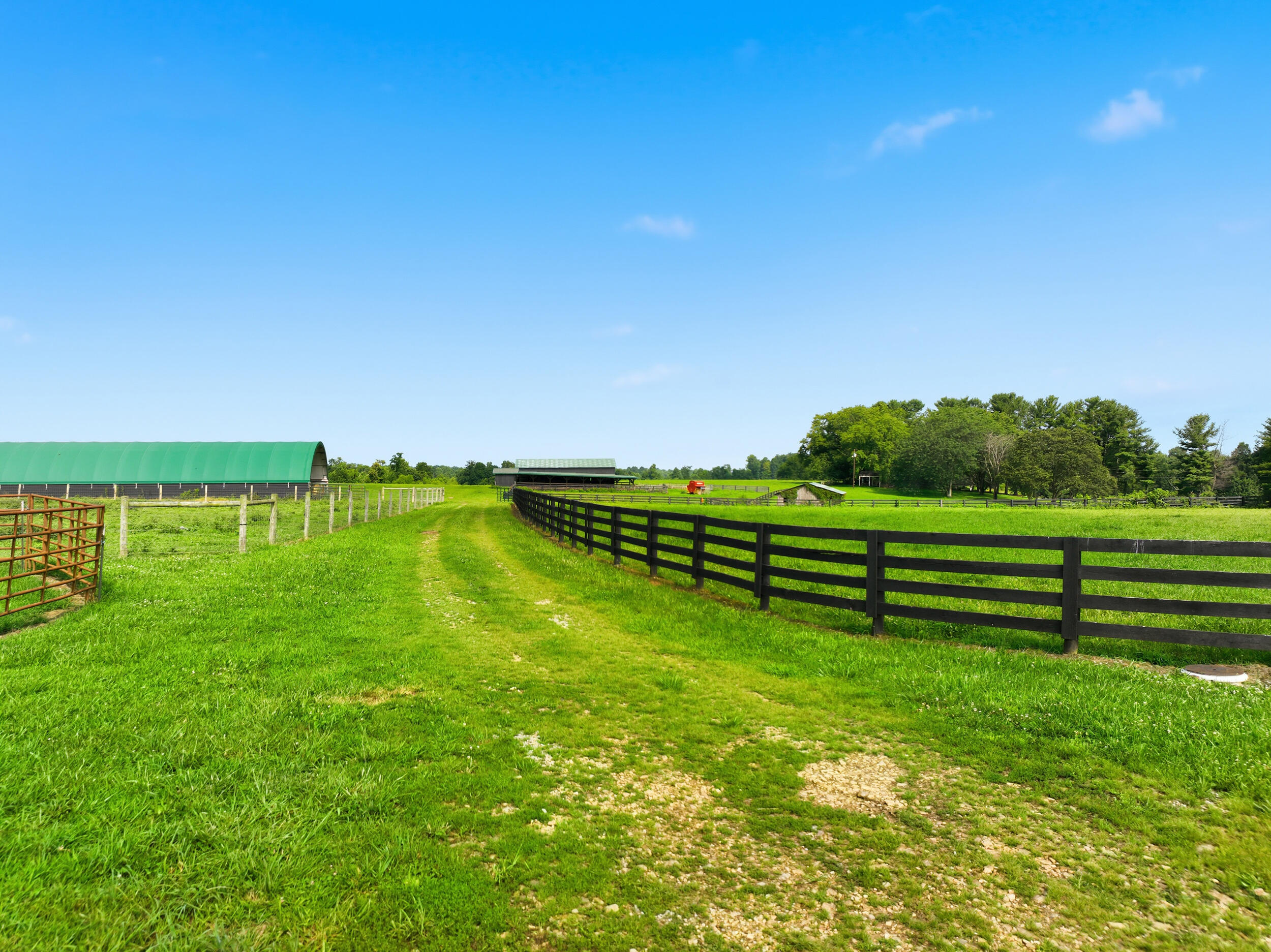 1219 Blevins Road Liberty, KY 42539 - Photo 25 of 37 dji_0364