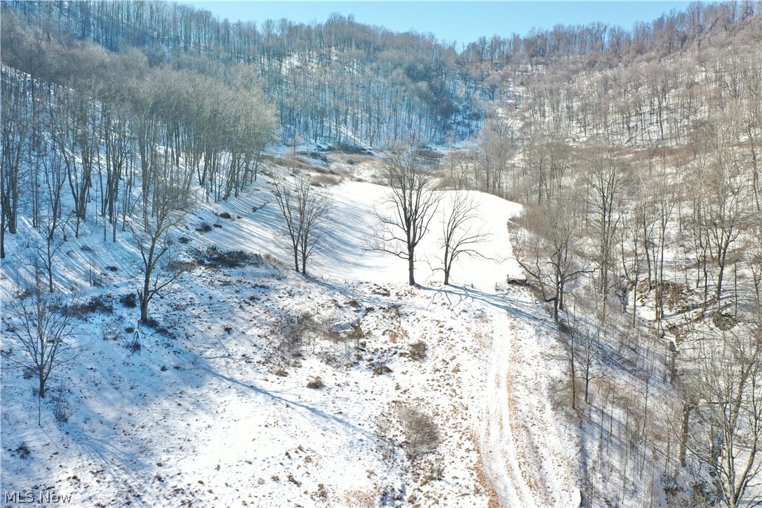 1296 Walker Creek Road Chloe, WV 25235 - Photo 37 of 50 Gallery Image 37