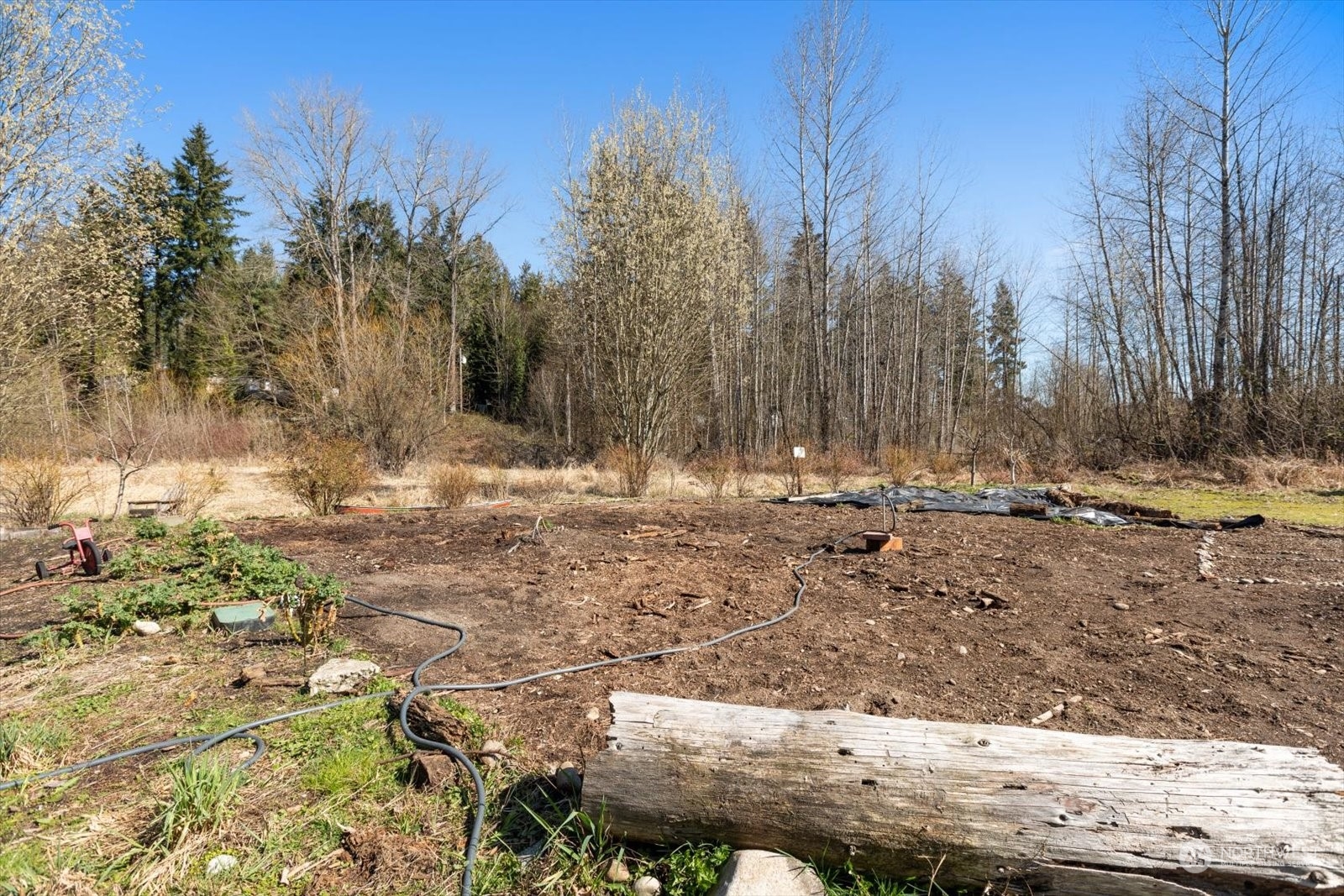 1402 194th Street Southeast, Unit 4 Bothell, WA 98012 - Photo 38 of 40 a view of a yard covered with snow