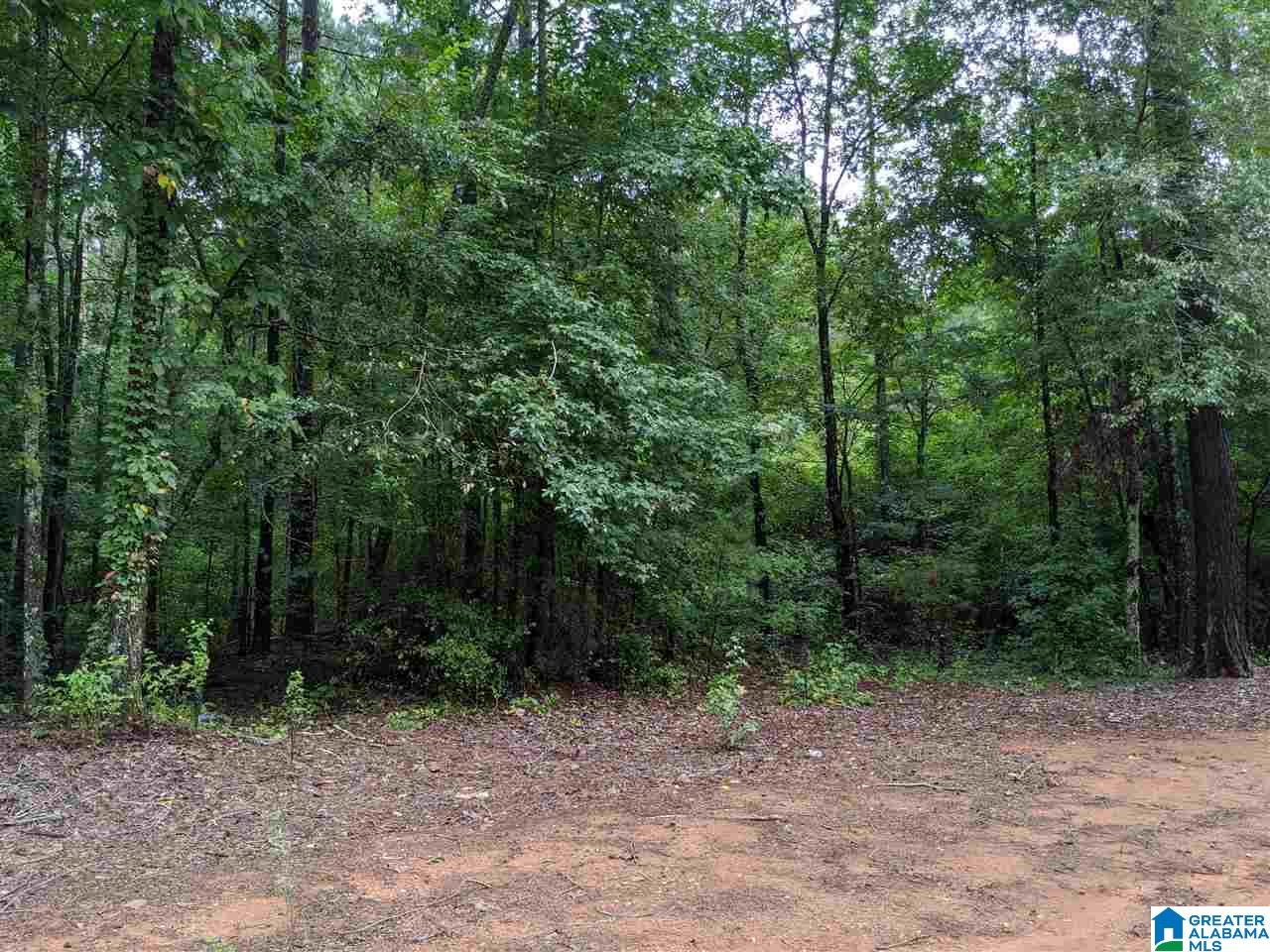 178 Olde Springs Road, Unit 24 Anniston, AL 36207 - Photo 7 of 37