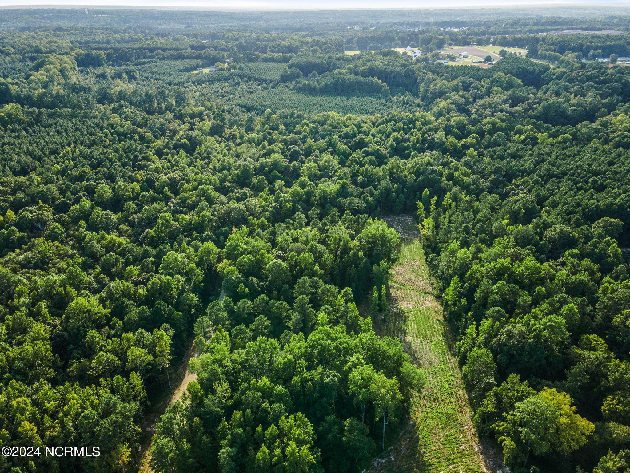 285 Old Eason Road Zebulon, NC 27597 - Photo 11 of 15 OLD EASON 3