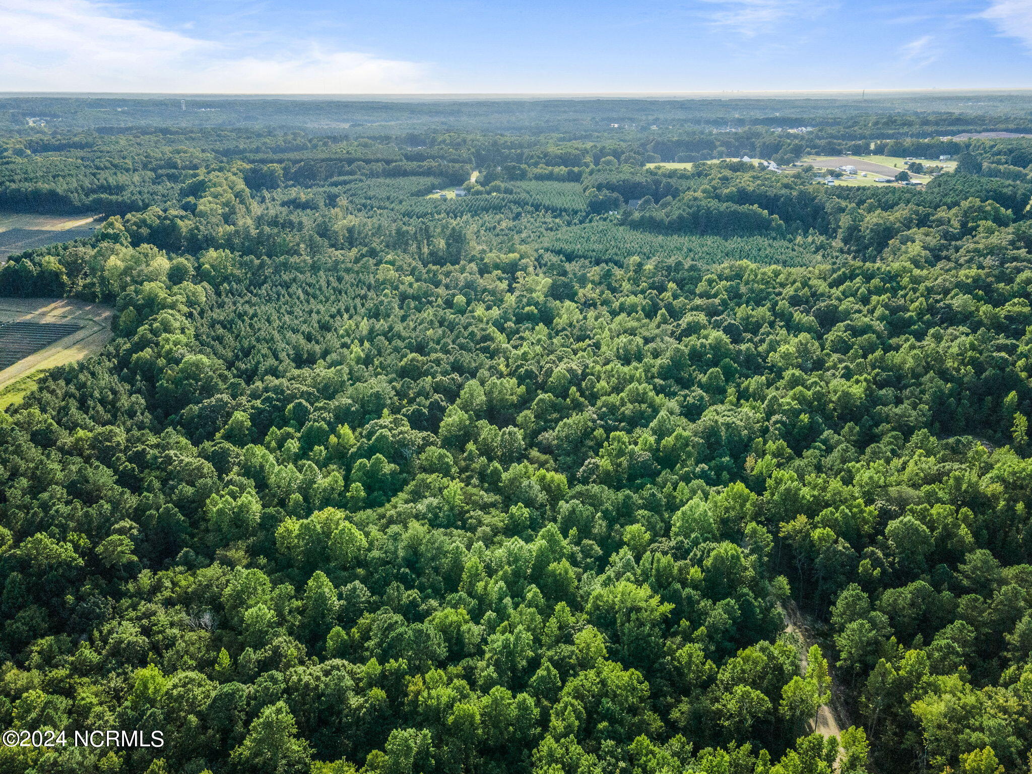 285 Old Eason Road Zebulon, NC 27597 - Photo 13 of 15 Old Eason 4