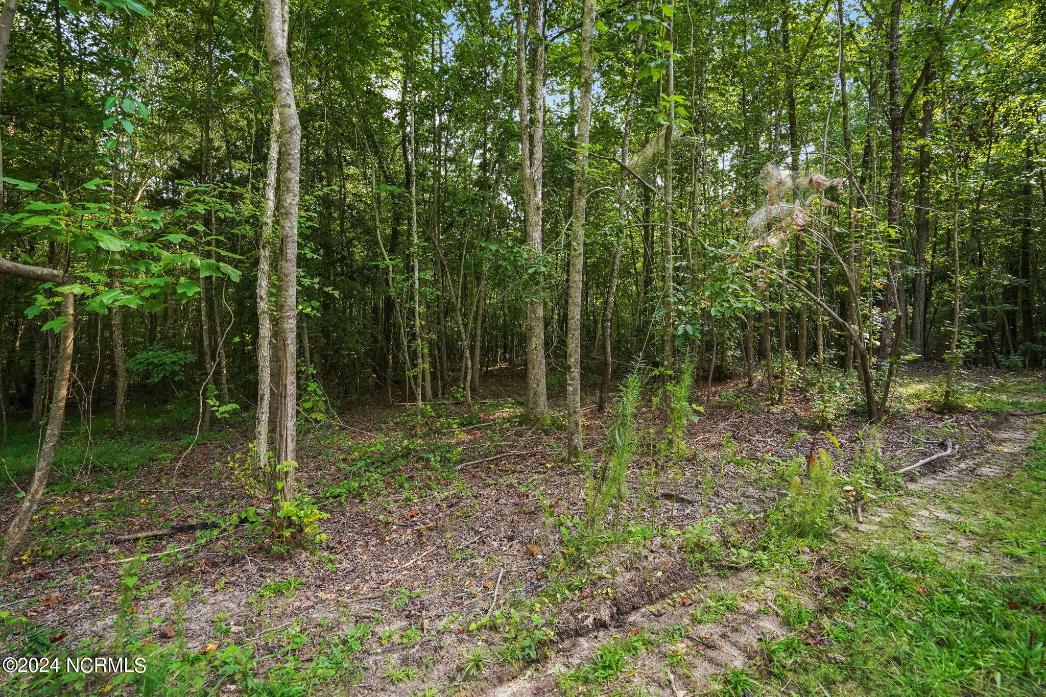 285 Old Eason Road Zebulon, NC 27597 - Photo 5 of 15 285 Old Eason