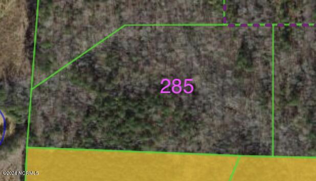 285 Old Eason Road Zebulon, NC 27597 - Photo 7 of 15 285 Old Eason GIS MAP