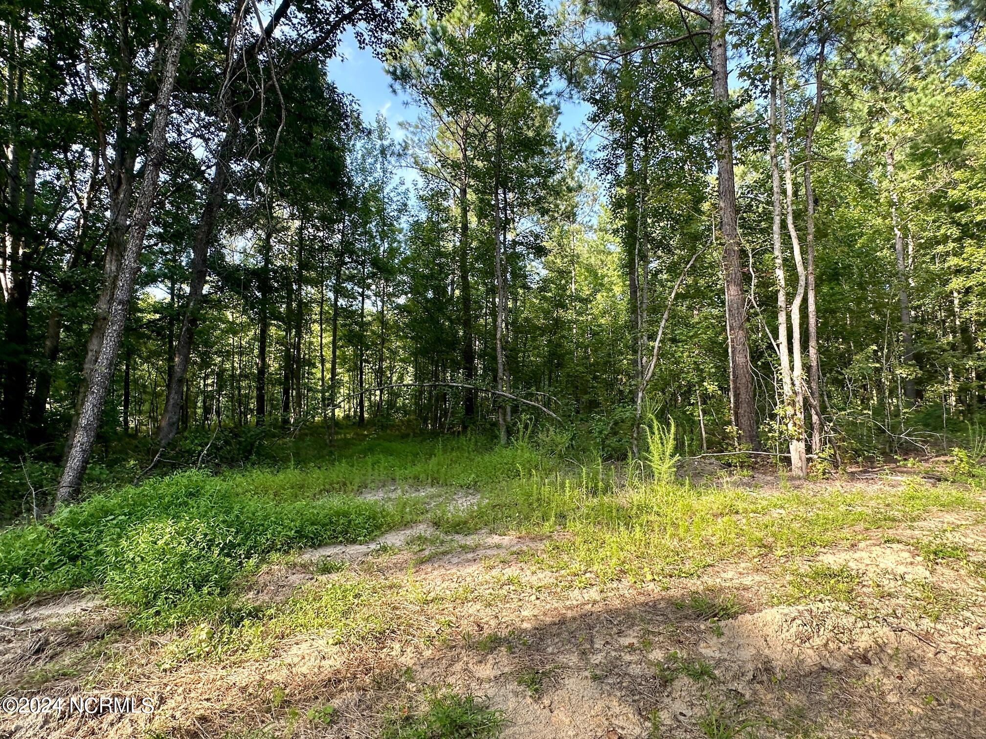 285 Old Eason Road Zebulon, NC 27597 - Photo 8 of 15 285 Old Eason pic