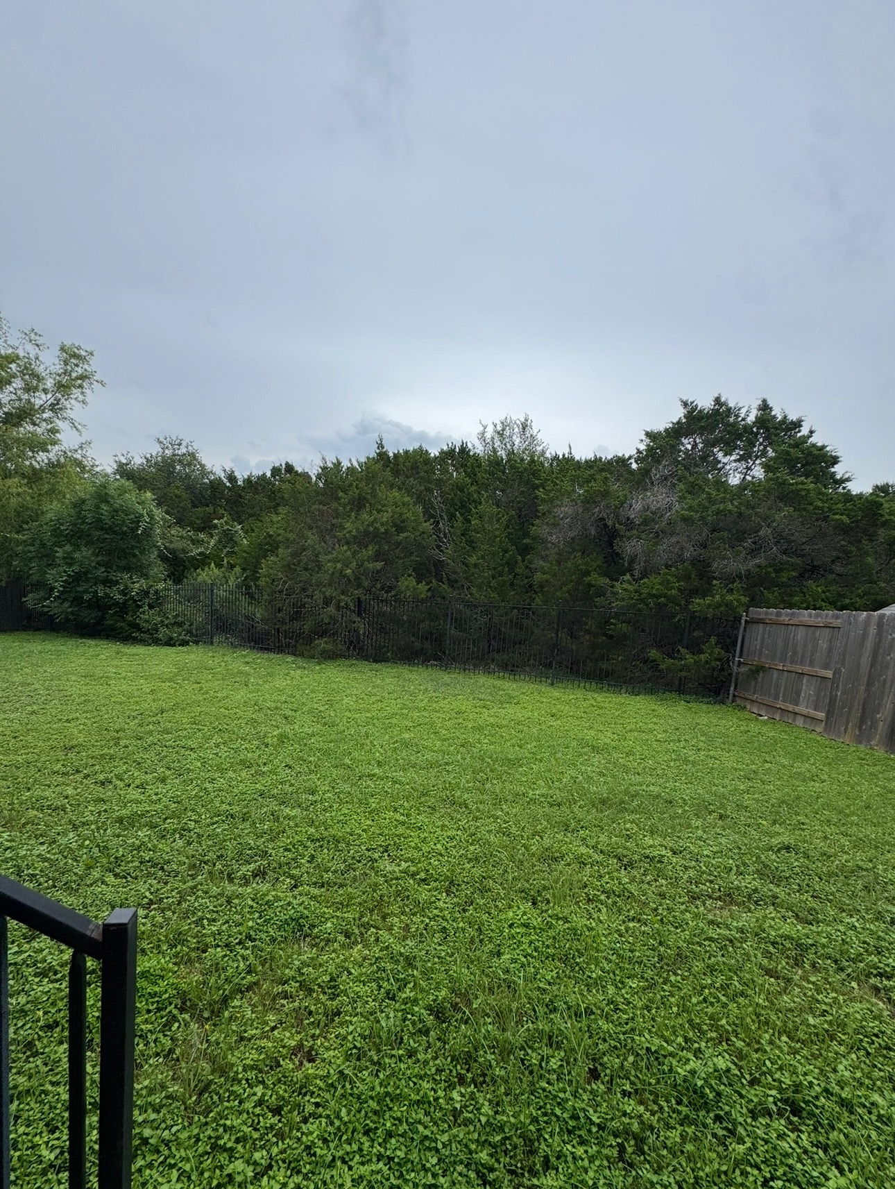 372 Limestone Trail Austin, TX 78737 - Photo 19 of 20