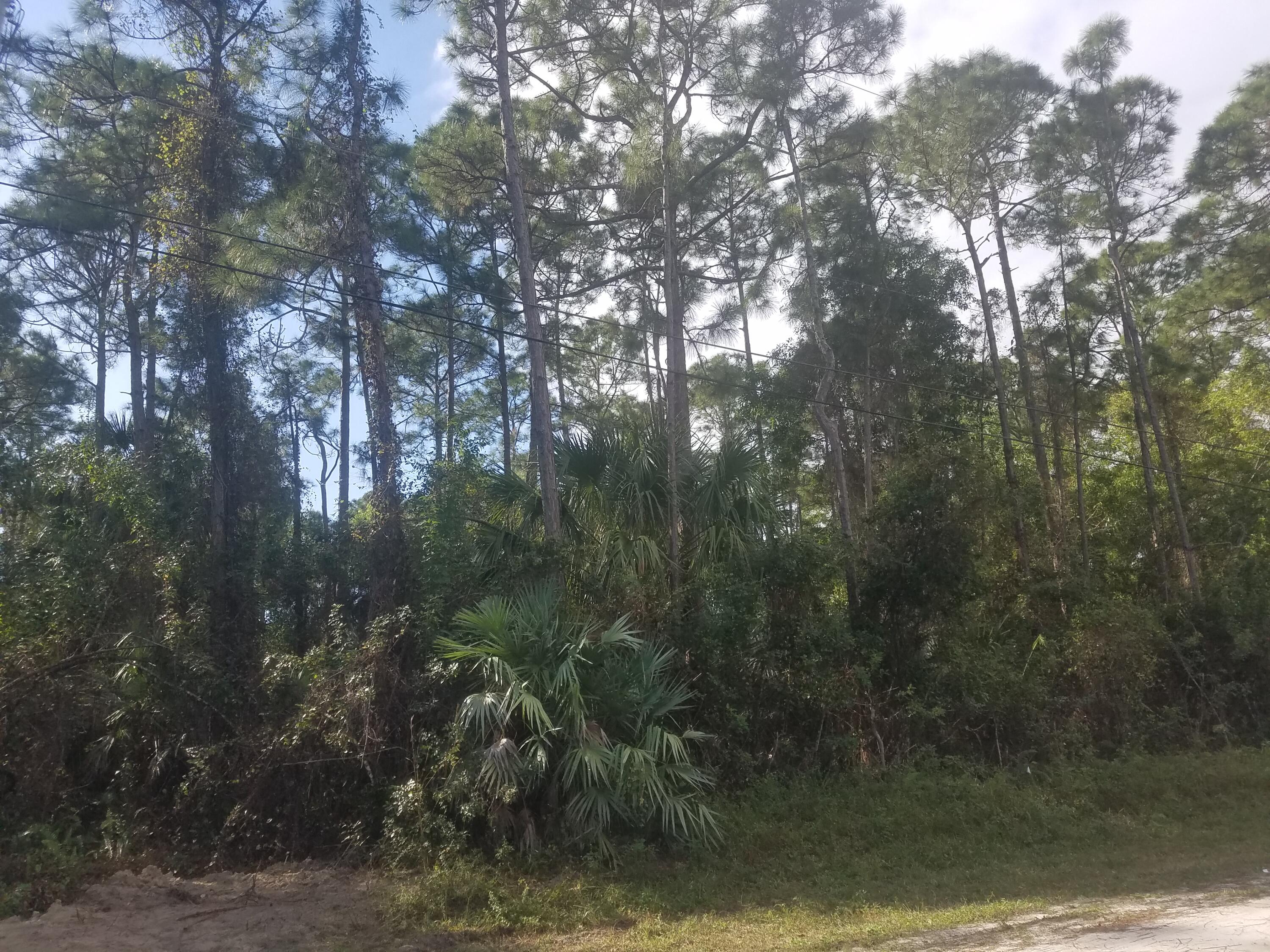 Lot 80 88th Road North Loxahatchee, FL 33470 - Photo 2 of 4 gatto 2