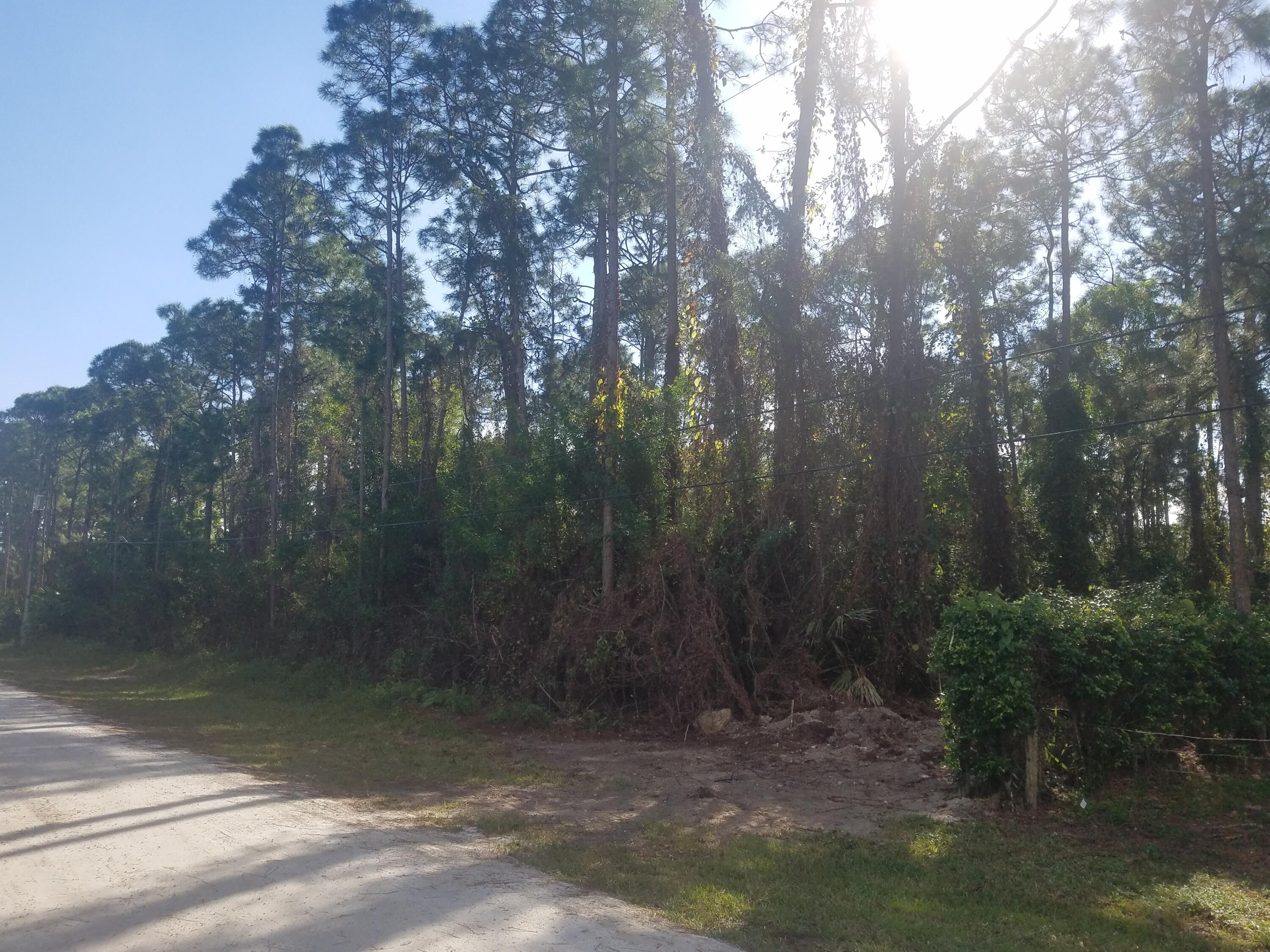 Lot 80 88th Road North Loxahatchee, FL 33470 - Photo 3 of 4 Gatto 5