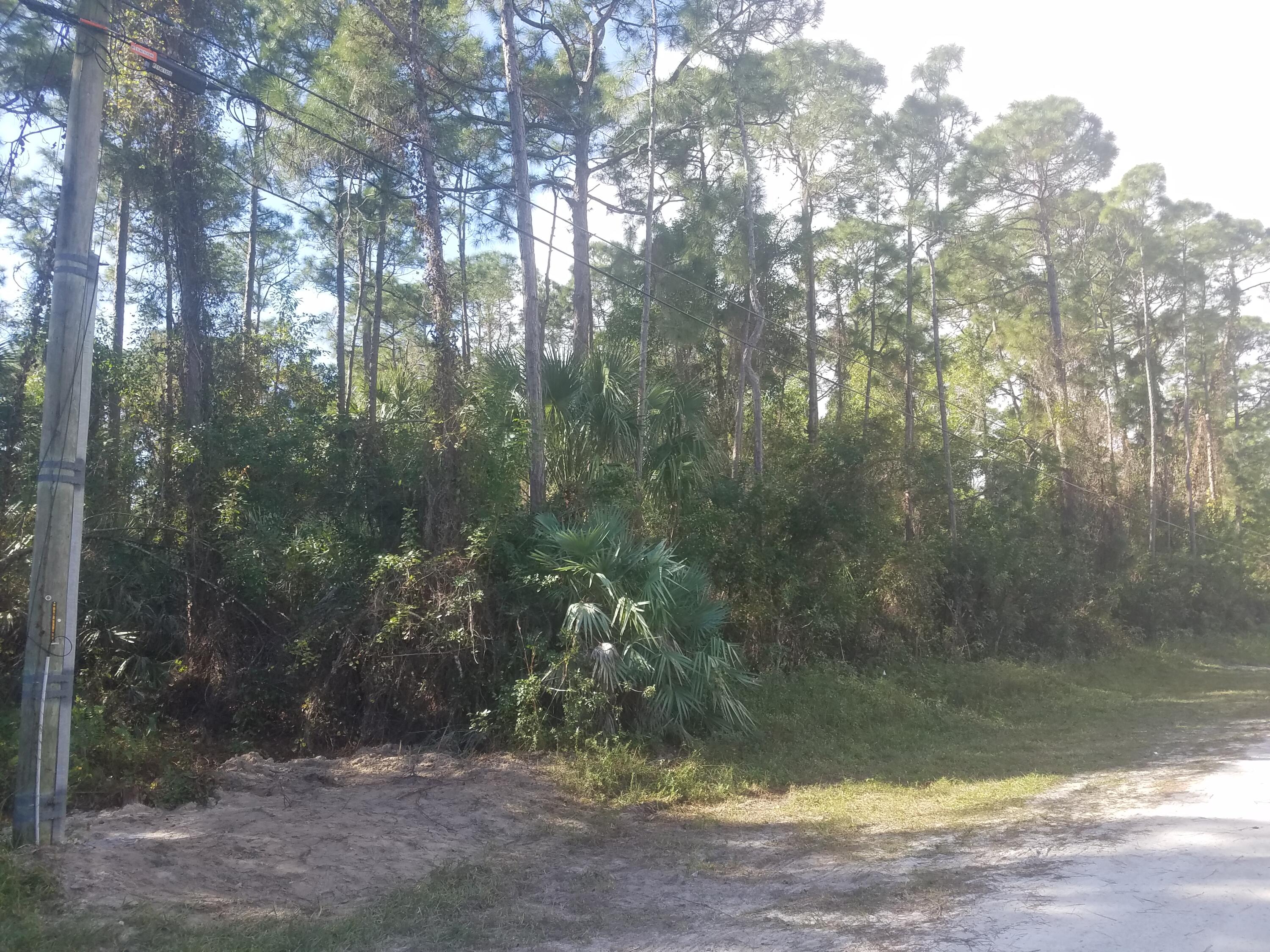Lot 80 88th Road North Loxahatchee, FL 33470 - Photo 4 of 4 Gatto 10