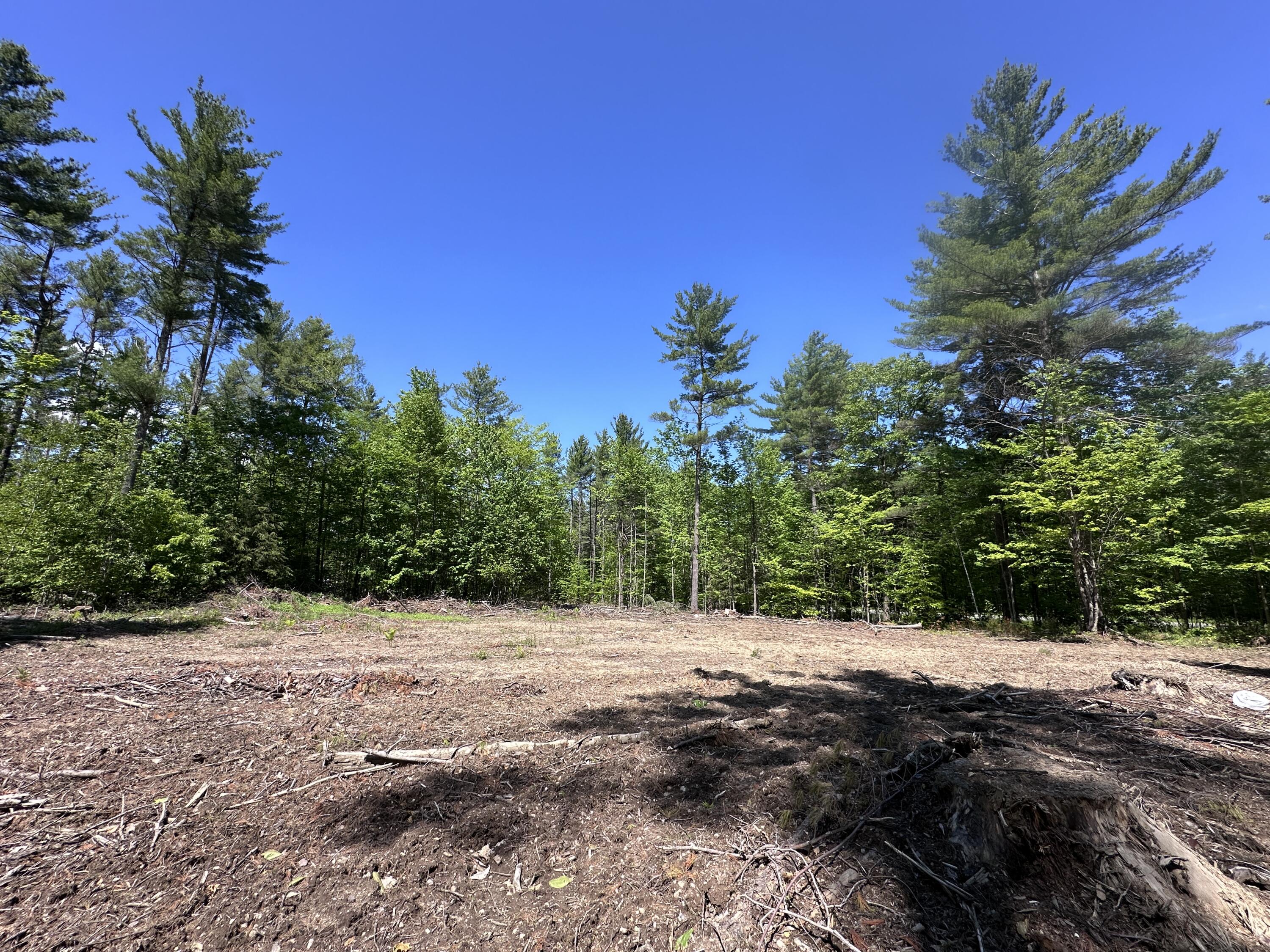 0 Allen Hill Road Peru, NY 12972 - Photo 5 of 7