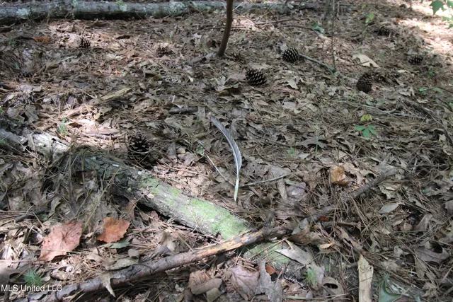 $130,000 | 1603 Holly Bush Road, Pelahatchie, MS 39145