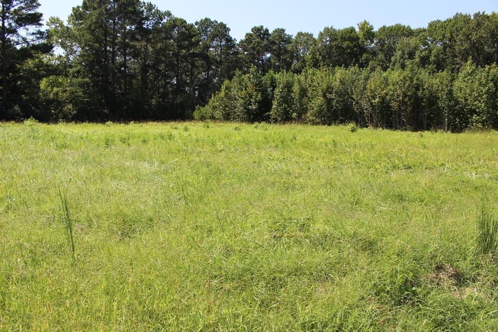Lot 14 Hideaway Cove Road, Unit 14 Exmore, VA 23350 - Photo 7 of 16