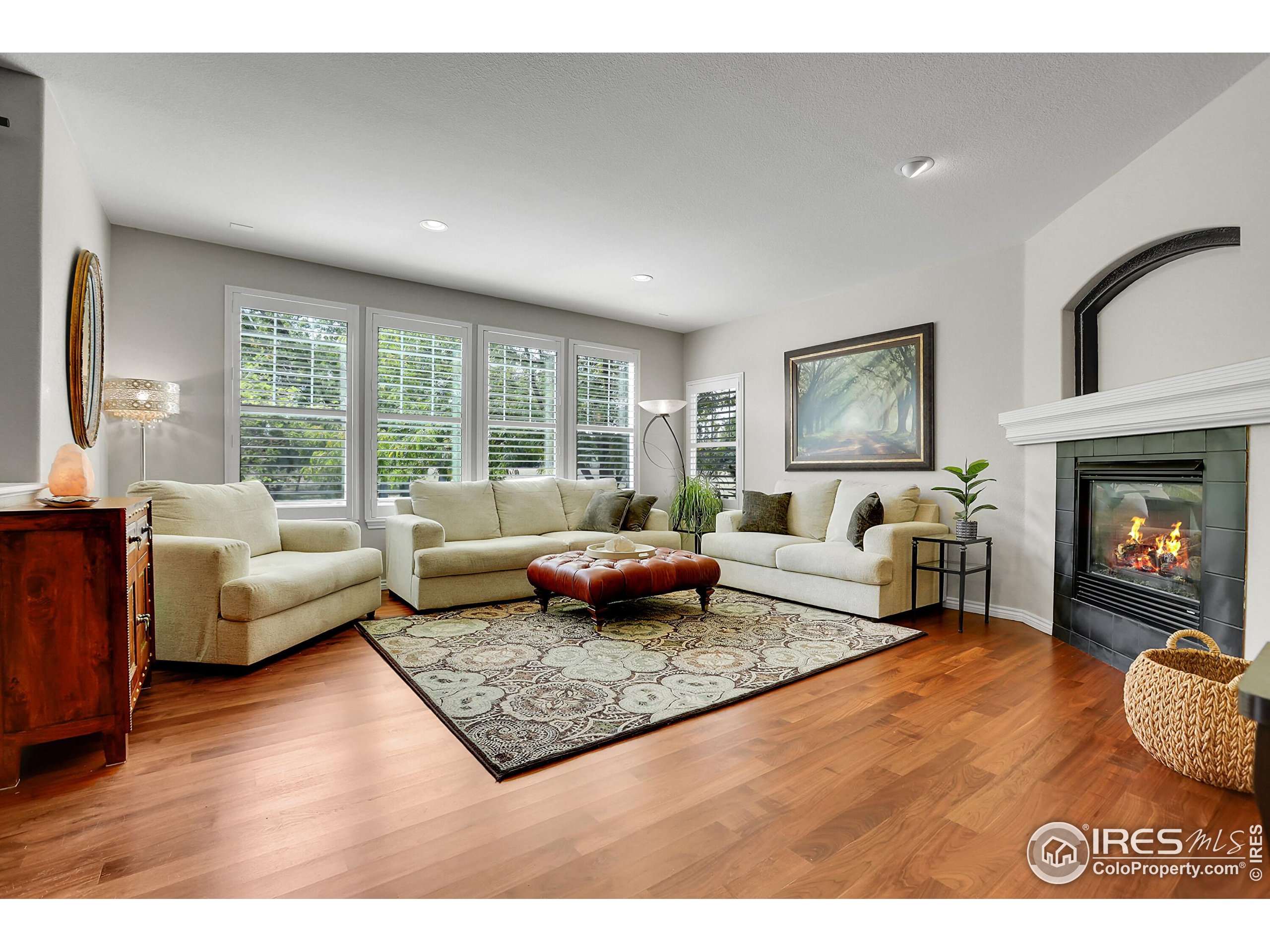 112 Austin Avenue Erie, CO 80516 - Photo 13 of 44 a living room with furniture and a fireplace