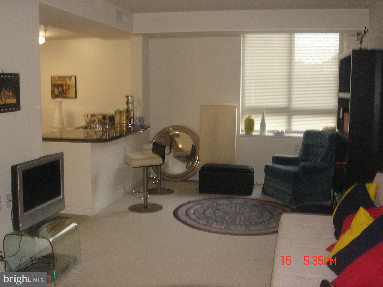 350 G Street Southwest, Unit N403 Washington, DC 20024 - Photo 2 of 5 a living room with furniture and a fireplace