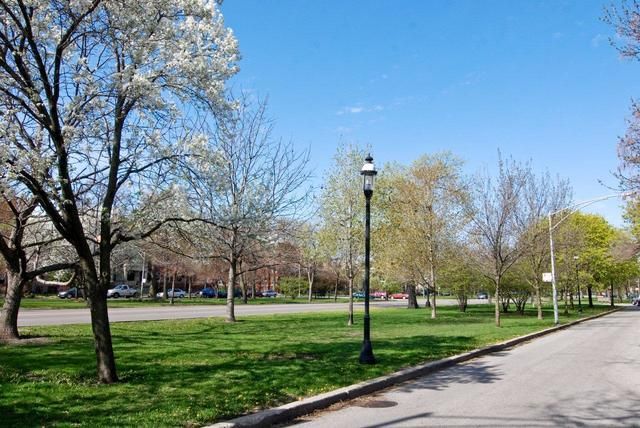 a view of a park with large trees