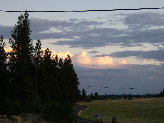 19603 South Harrison Road Edwall, WA 99008 - Photo 4 of 9