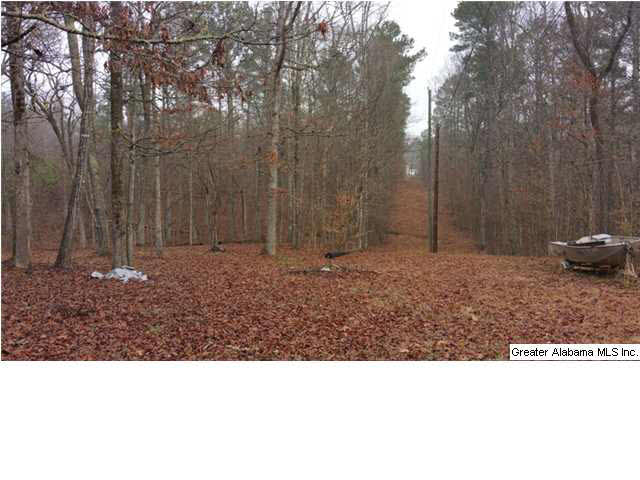 1607 Spring Road Ohatchee, AL 36271 - Photo 24 of 30