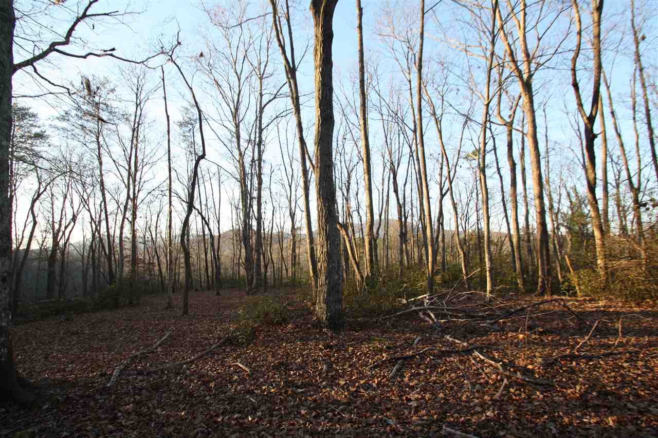0 Red Hill Road Landrum, SC 29356 - Photo 1 of 14