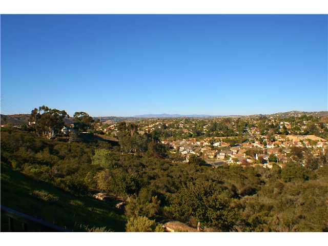 2095 Wandering Road Encinitas, CA 92024 - Photo 3 of 22 More view!
