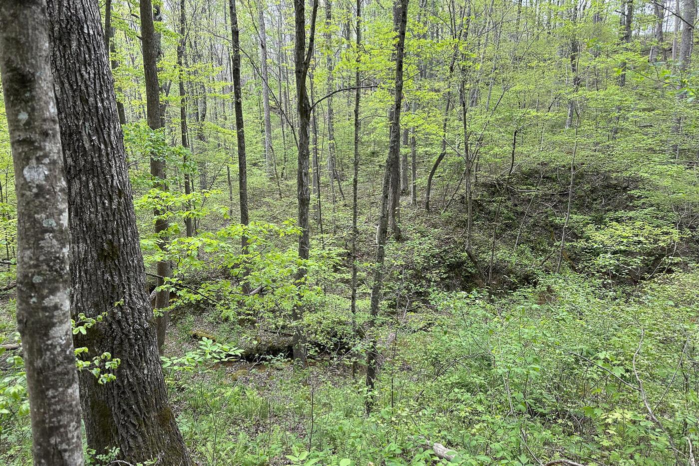 0 Jisco Road, Unit TRACT A) Jackson, OH 45640 - Photo 37 of 65 CT-37