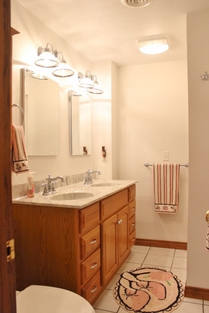 374 East Hoffman Road St. Louis, MI 48880 - Photo 27 of 72 1831450-26.JPG