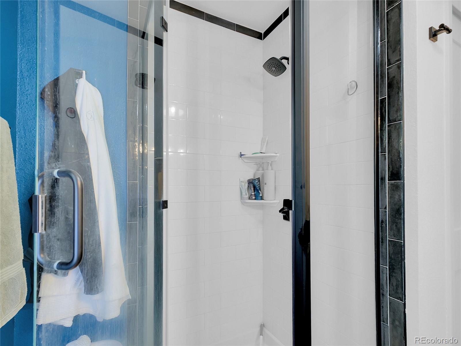 660 West Spruce Street Nederland, CO 80466 - Photo 21 of 29 a bathroom with a shower