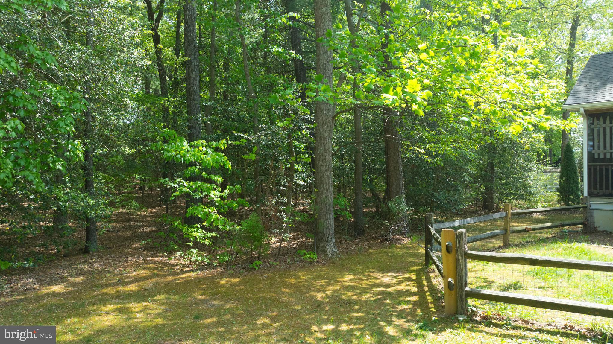 30862 Ridge Court Lewes, DE 19958 - Photo 12 of 18 Wooded lot