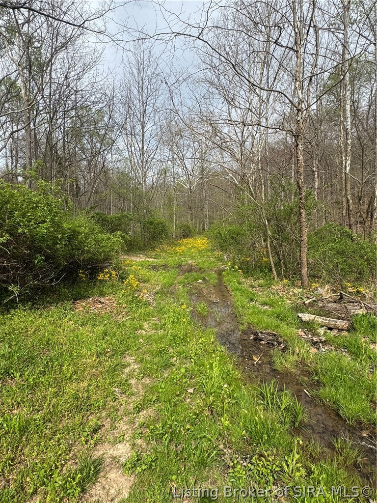 1792 South Magnolia Road English, IN 47118 - Photo 24 of 33