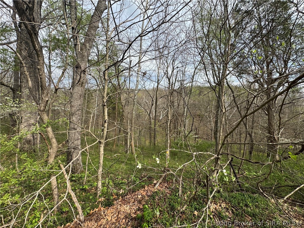 1792 South Magnolia Road English, IN 47118 - Photo 28 of 33