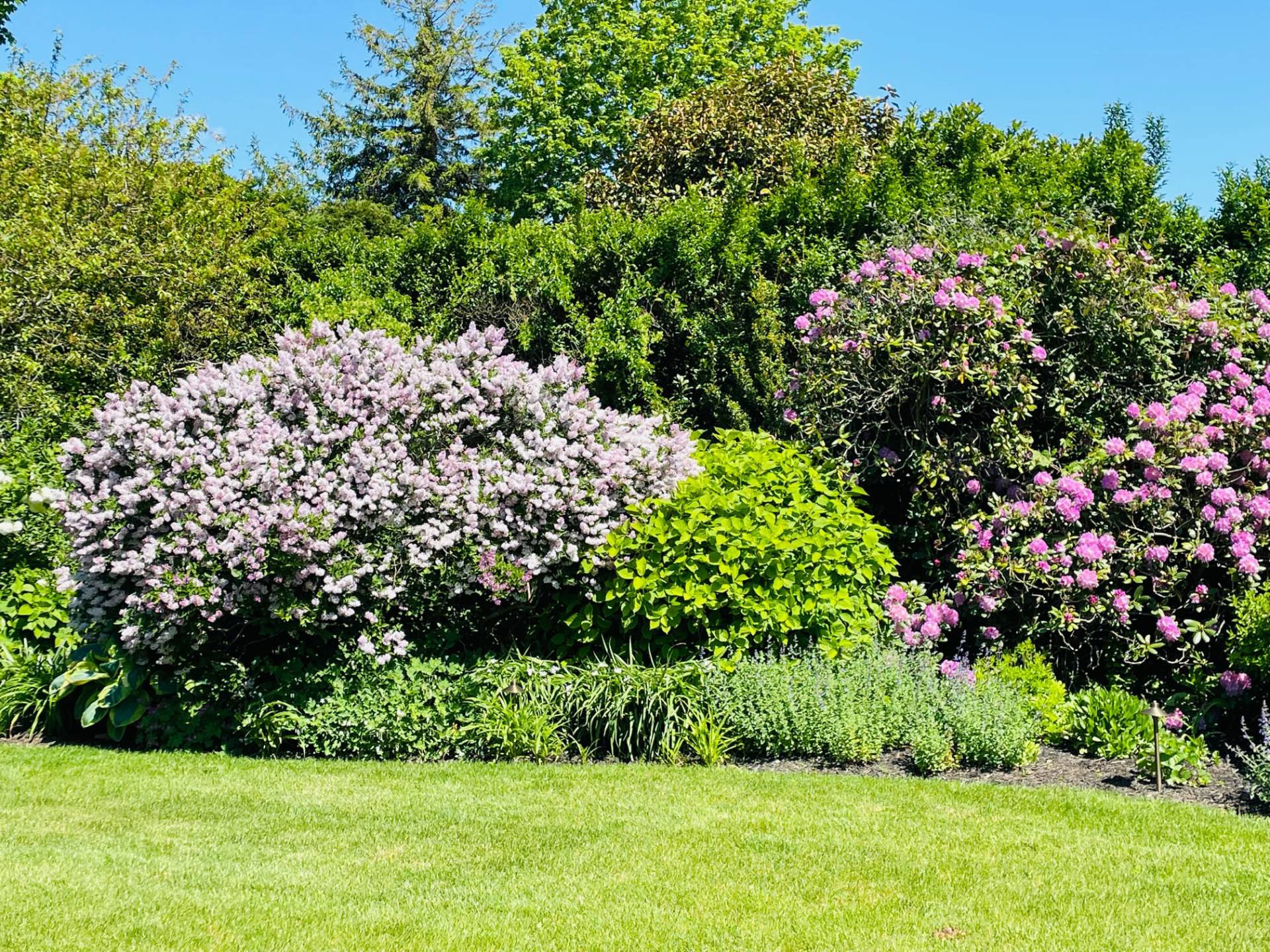 75 Narod Boulevard Water Mill, NY 11976 - Photo 20 of 29 a view of a garden with plants and large trees