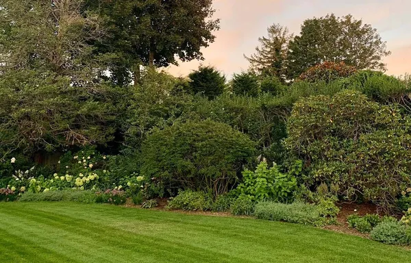 a view of a park