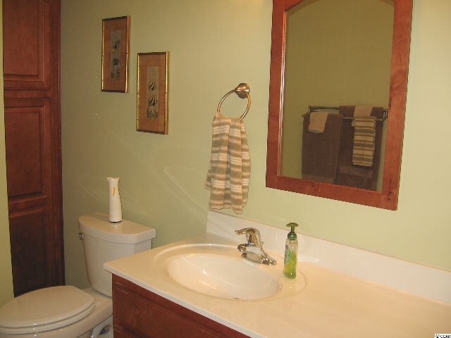 2341 Clear Pond Road Conway, SC 29526 - Photo 12 of 15 Gallery Image 12