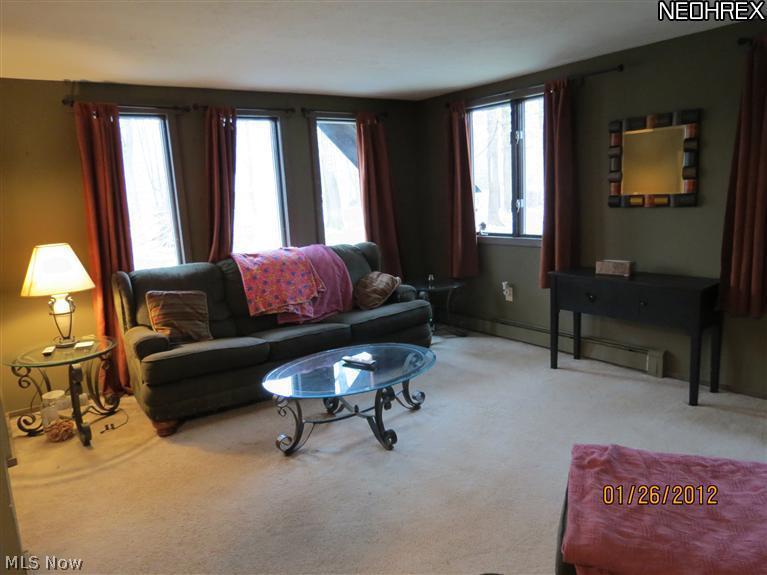 4563 Wayne Road Mantua, OH 44255 - Photo 11 of 23 Gallery Image 11