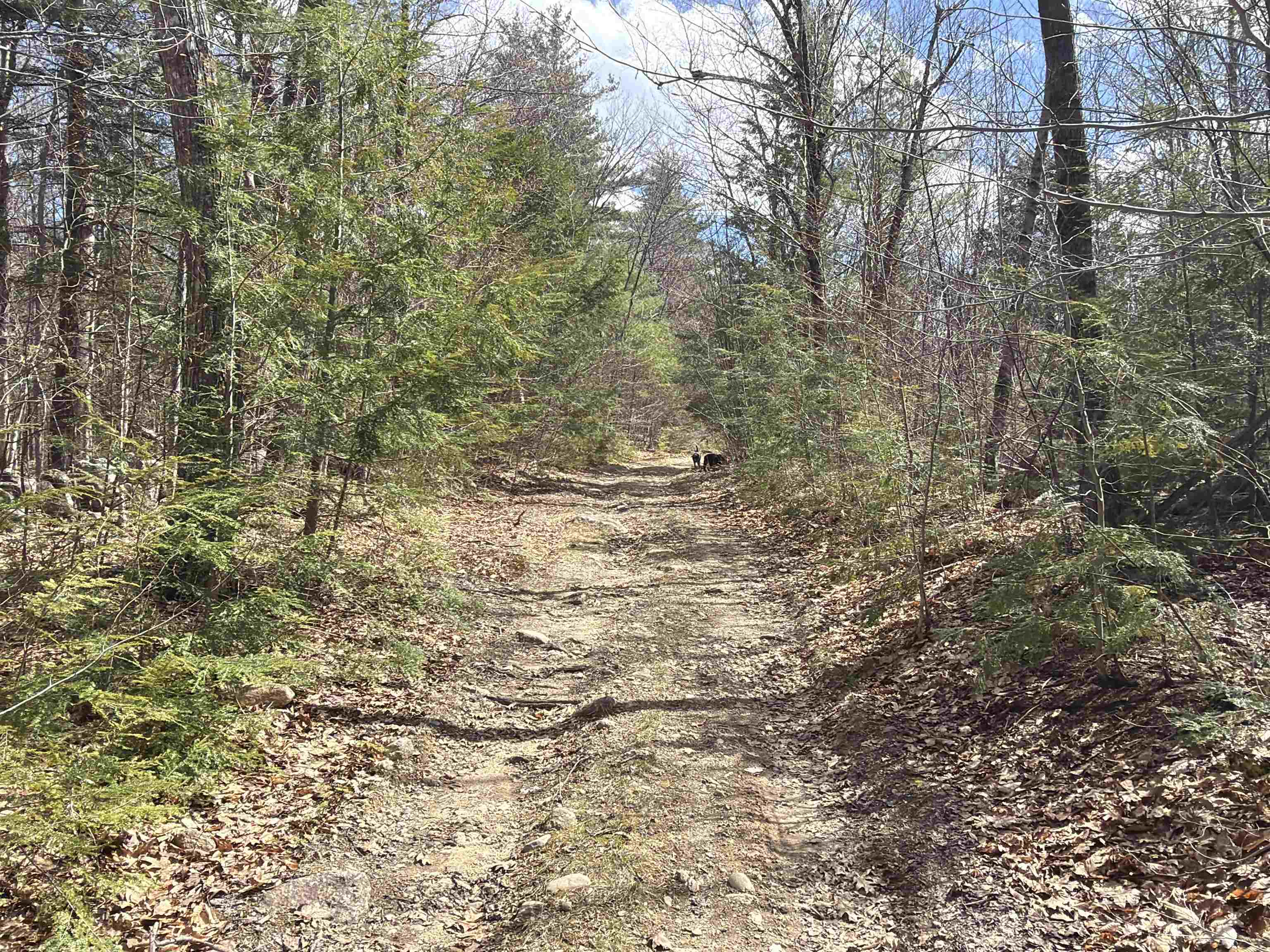 R29-l9 Roxbury Road, Unit LOT 9 Meredith, NH 03253 - Photo 14 of 36