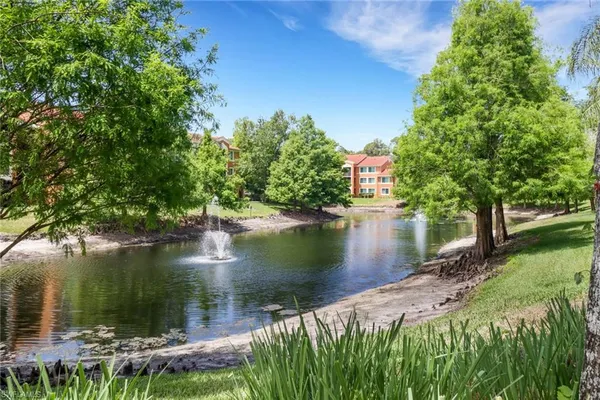 a view of a garden with plants and a lake view