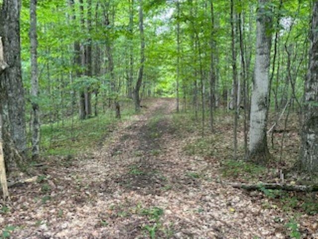 V/l McKinney Road Central Lake, MI 49622 - Photo 17 of 29