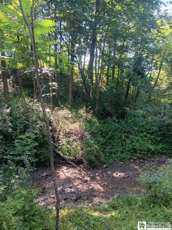 960 Peterson Road Carroll, NY 14738 - Photo 4 of 14 Creekside pic