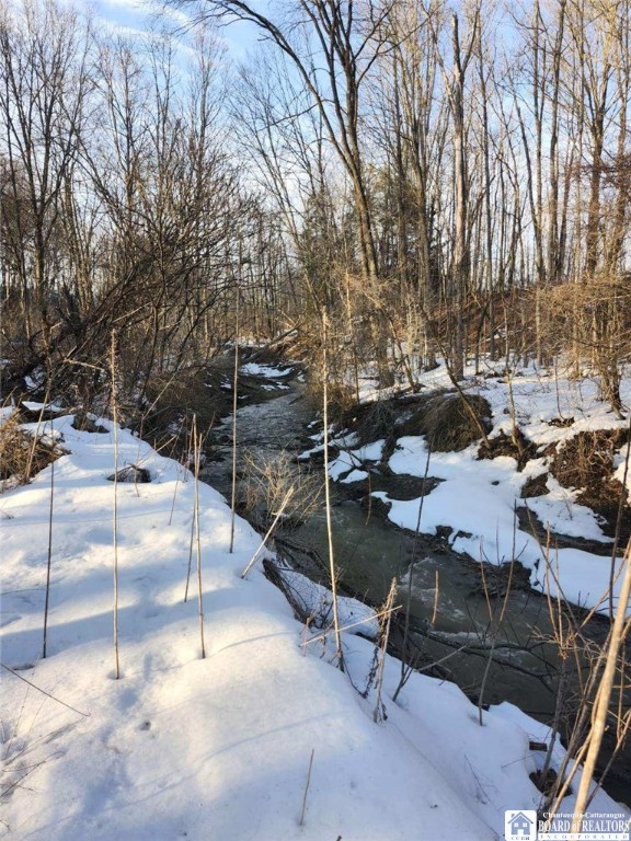 960 Peterson Road Carroll, NY 14738 - Photo 5 of 14 Winter Stream Pic