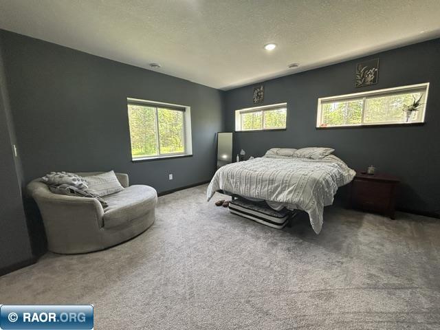 3454 Anderson Road Hibbing, MN 55746 - Photo 6 of 31 Gallery Image 6