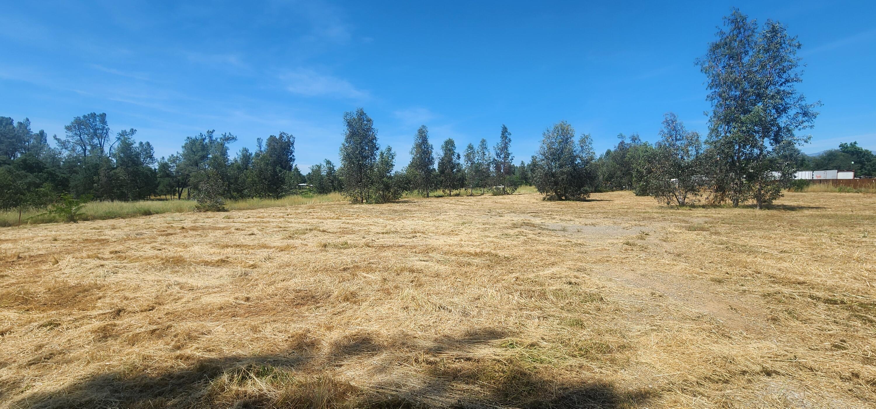 6582 Saddle Trl Road Anderson, CA 96007 - Photo 2 of 2 1000010197