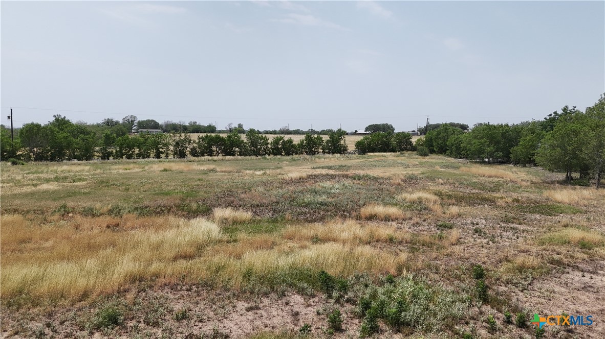 10945 Dillon Road Atascosa, TX 78002 - Photo 7 of 17 a view of field with trees in background