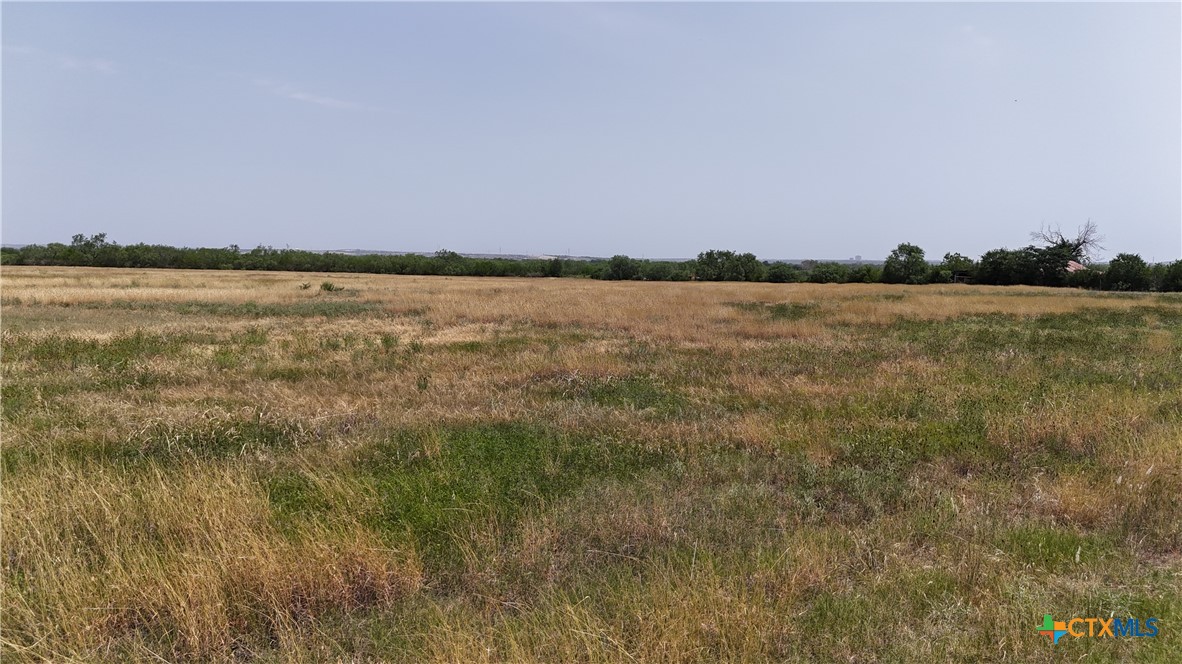 10945 Dillon Road Atascosa, TX 78002 - Photo 10 of 17 a view of lake and mountain