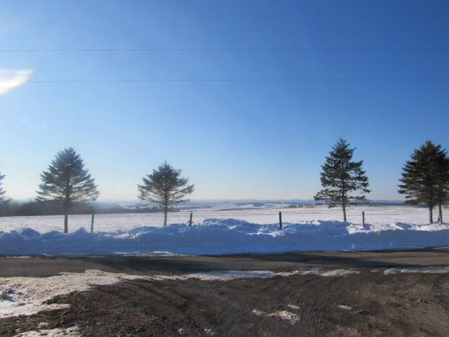 254 Rubright Road Rockwood, PA 15557 - Photo 2 of 6 a view of a large yard