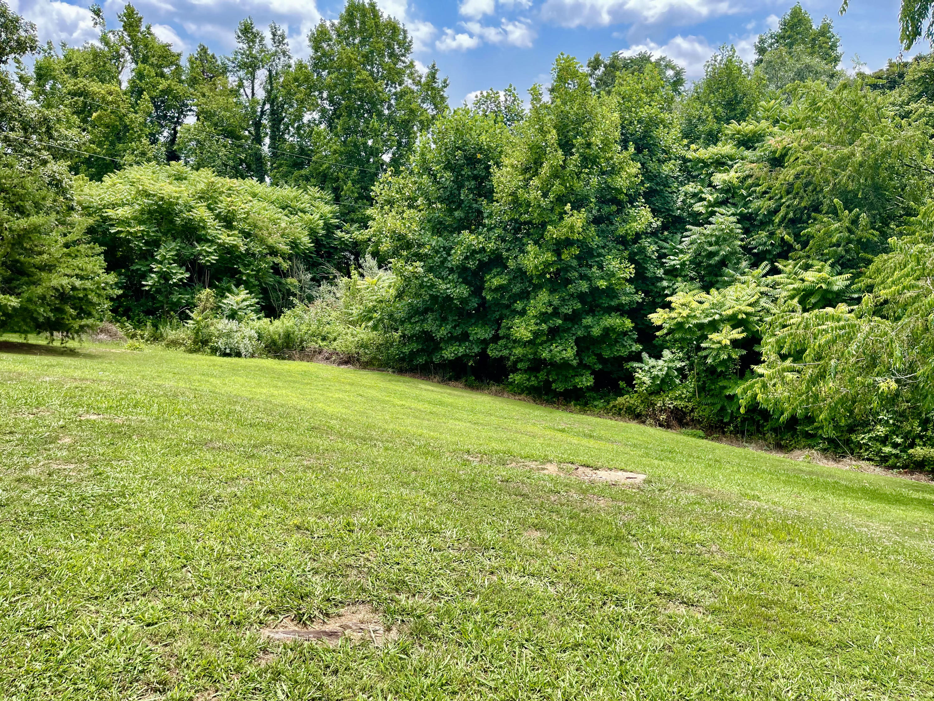 171 Oak Forest Road Bassett, VA 24055 - Photo 11 of 13 a view of a field with a trees in the background