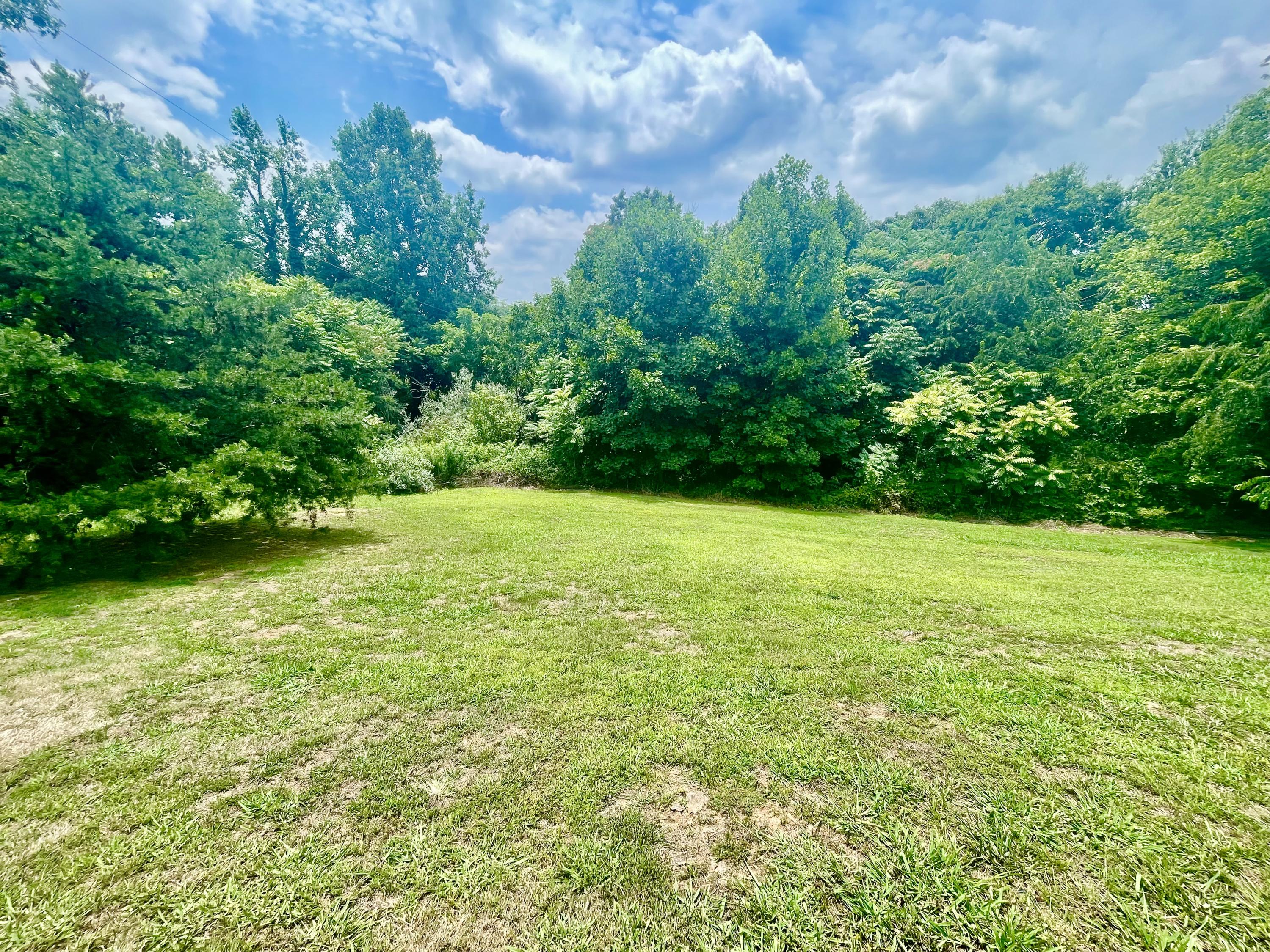 171 Oak Forest Road Bassett, VA 24055 - Photo 12 of 13 a view of yard with green space