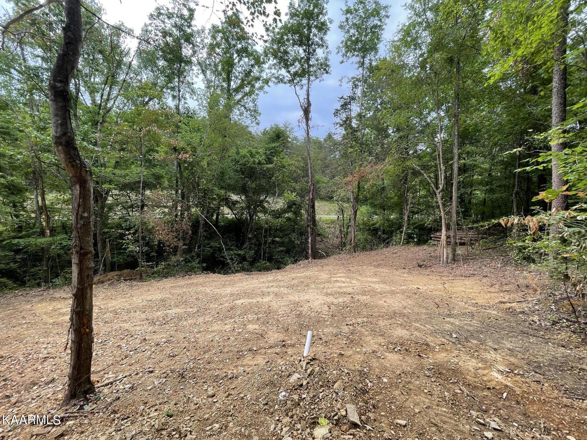 2575 Windfall Estates Drive Sevierville, TN 37876 - Photo 11 of 31 IMG_1077