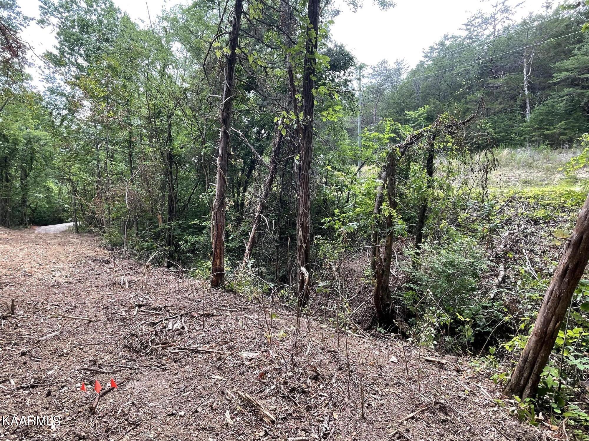 2575 Windfall Estates Drive Sevierville, TN 37876 - Photo 12 of 31 IMG_1073