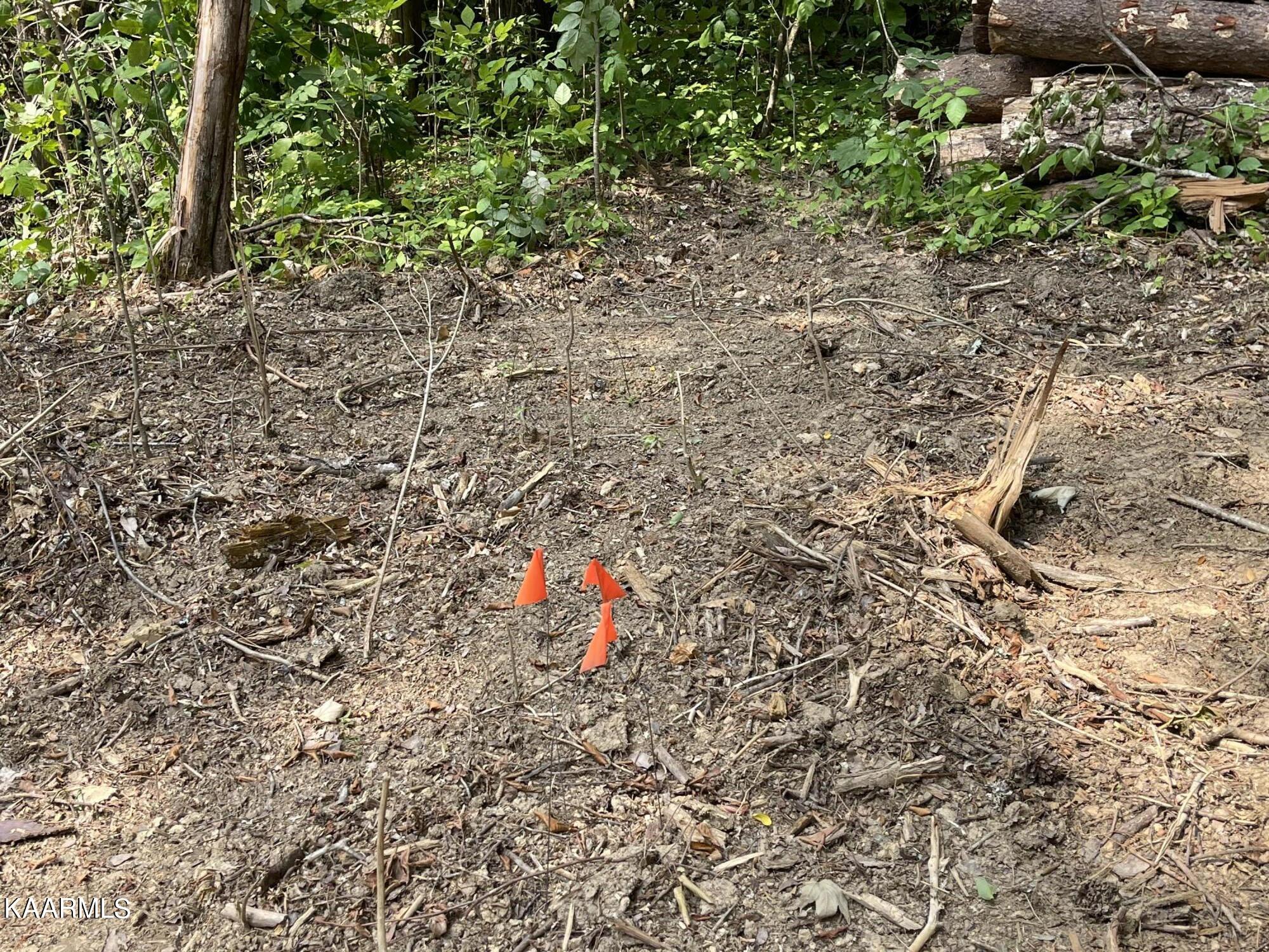 2575 Windfall Estates Drive Sevierville, TN 37876 - Photo 13 of 31 ELECTRIC