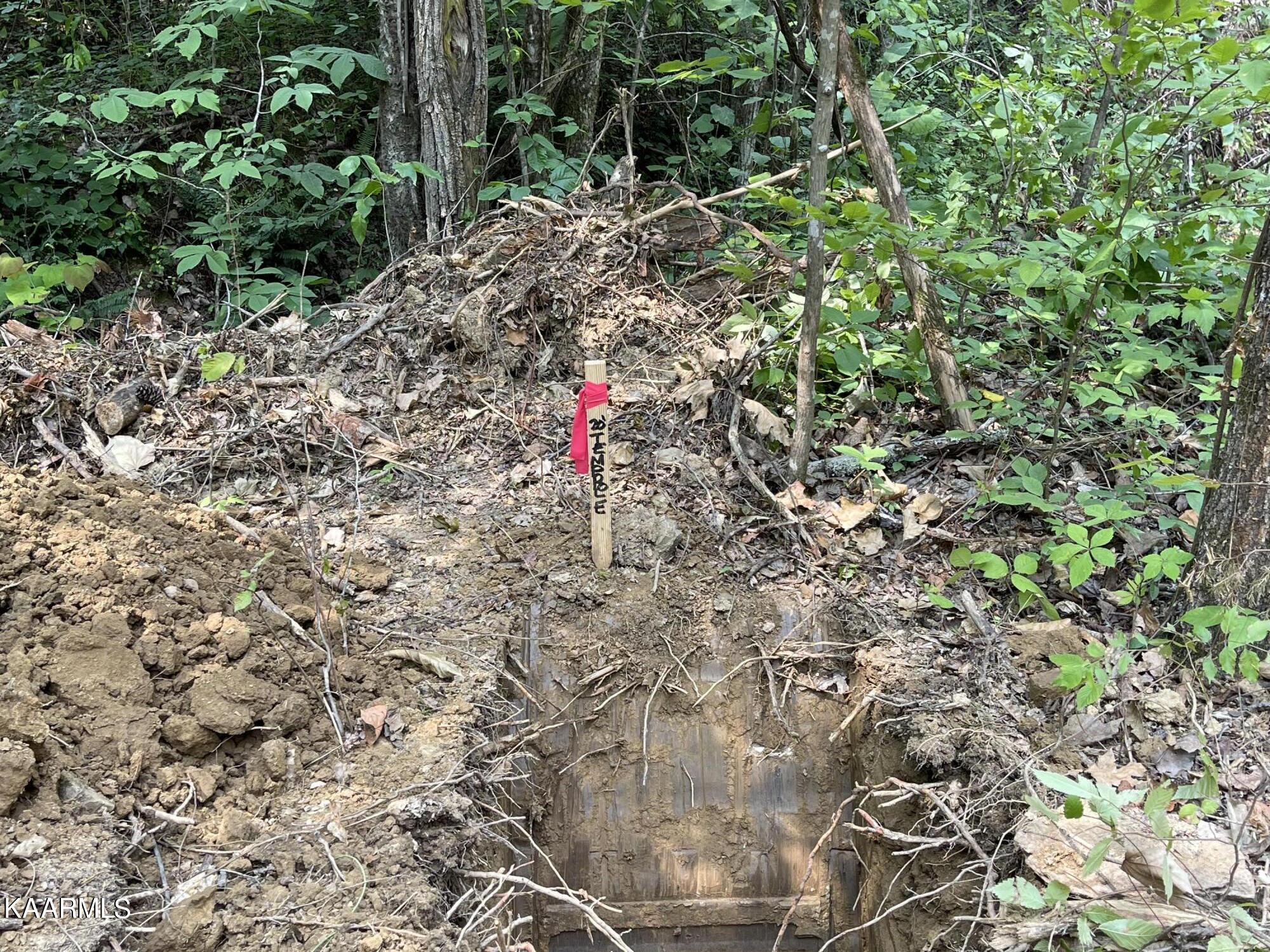 2575 Windfall Estates Drive Sevierville, TN 37876 - Photo 14 of 31 WELL